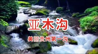 女武神：苍蓝革命