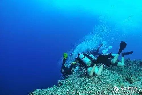 同仁堂跌超6% 中欧葛兰、汇添富郑磊、工银瑞信赵蓓浮亏过千万
