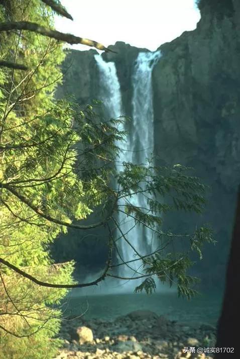 探索知识星球平台，尽享英语单词记不住该咋办...之旅
